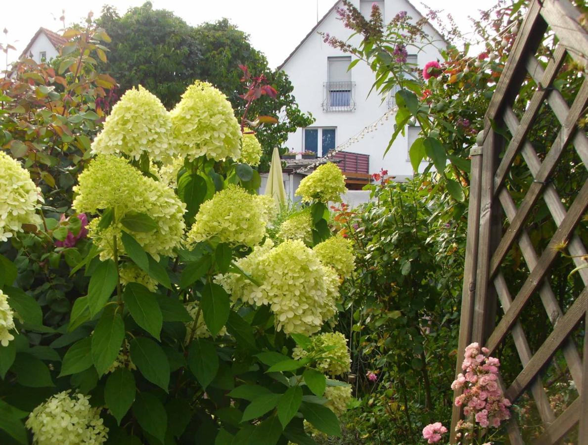 Ferienwohnung Gaby Marburg Esterno foto